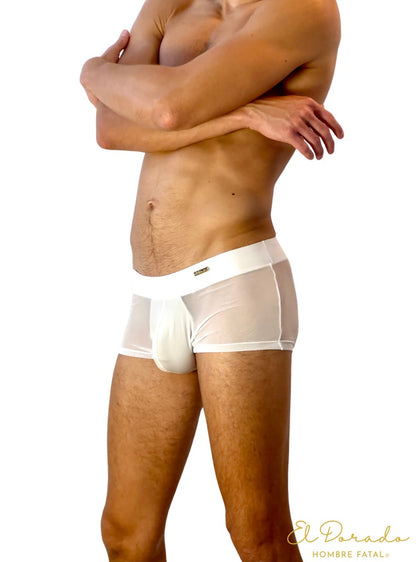 Mesh Boxer Briefs