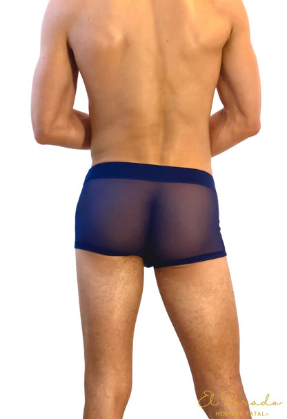 Mesh Boxer Briefs